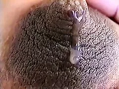 بڑے سر ہو جاتا ہے ایک عظیم سر سے منحنی Kur